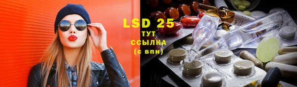 PSILOCYBIN Липки