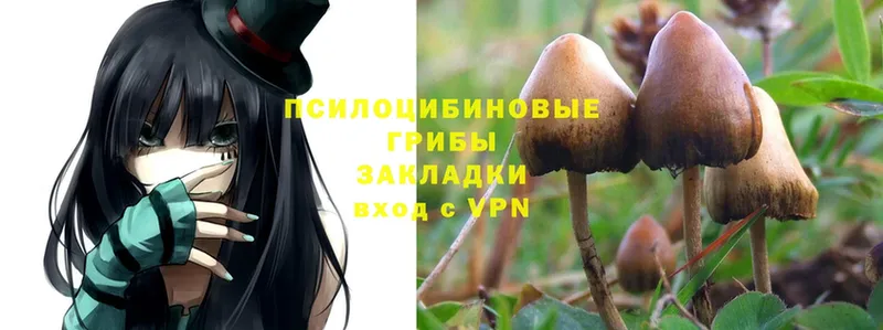 Галлюциногенные грибы MAGIC MUSHROOMS  Льгов 